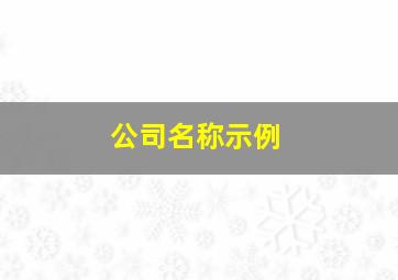 公司名称示例