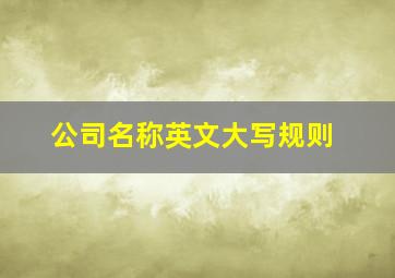 公司名称英文大写规则