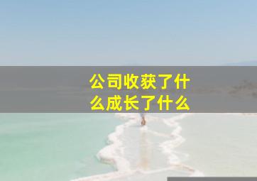 公司收获了什么成长了什么