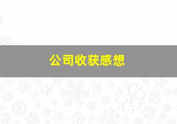 公司收获感想