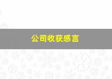 公司收获感言