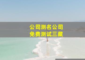 公司测名公司免费测试三藏