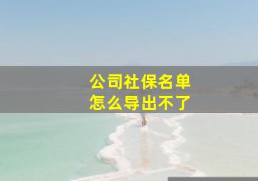 公司社保名单怎么导出不了