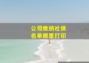 公司缴纳社保名单哪里打印