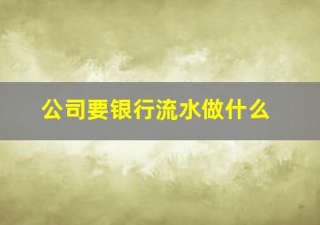 公司要银行流水做什么