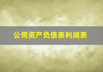 公司资产负债表利润表