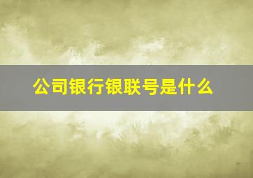 公司银行银联号是什么