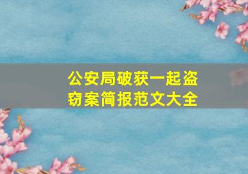 公安局破获一起盗窃案简报范文大全