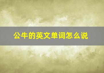 公牛的英文单词怎么说