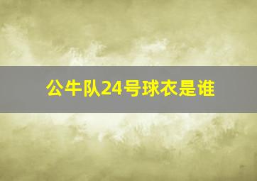 公牛队24号球衣是谁