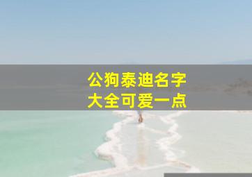 公狗泰迪名字大全可爱一点