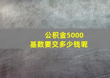 公积金5000基数要交多少钱呢