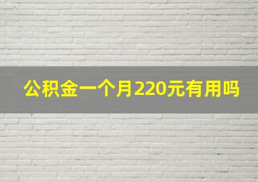 公积金一个月220元有用吗