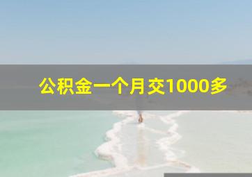 公积金一个月交1000多