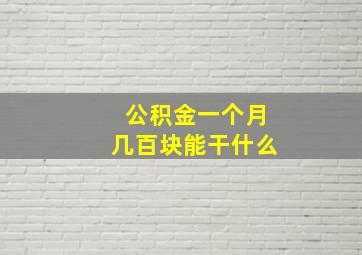 公积金一个月几百块能干什么