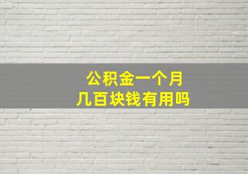 公积金一个月几百块钱有用吗