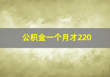 公积金一个月才220