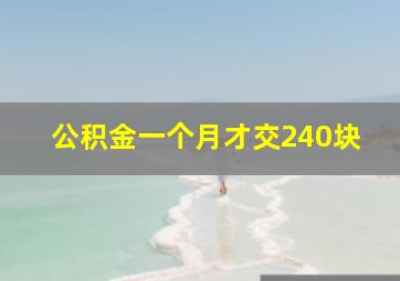 公积金一个月才交240块