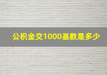 公积金交1000基数是多少