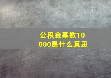 公积金基数10000是什么意思