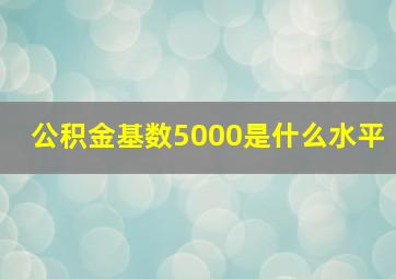 公积金基数5000是什么水平