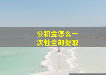 公积金怎么一次性全部提取