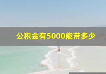 公积金有5000能带多少