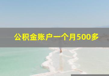 公积金账户一个月500多