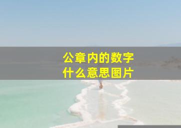 公章内的数字什么意思图片