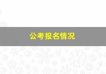 公考报名情况