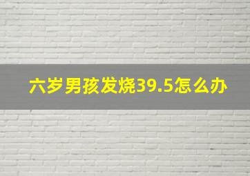 六岁男孩发烧39.5怎么办