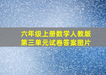 六年级上册数学人教版第三单元试卷答案图片