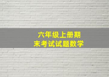 六年级上册期末考试试题数学