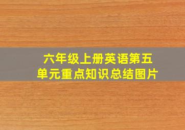 六年级上册英语第五单元重点知识总结图片