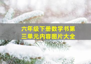 六年级下册数学书第三单元内容图片大全