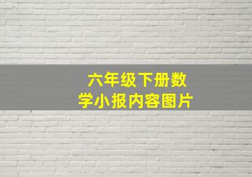 六年级下册数学小报内容图片