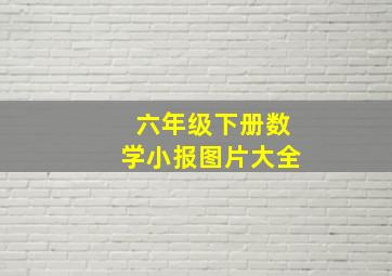 六年级下册数学小报图片大全