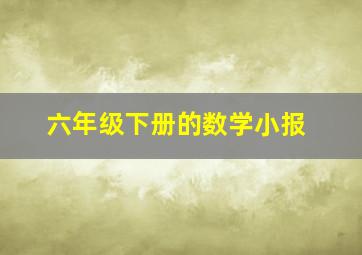 六年级下册的数学小报