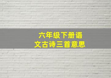 六年级下册语文古诗三首意思