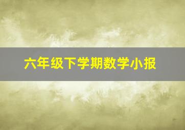 六年级下学期数学小报