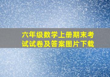 六年级数学上册期末考试试卷及答案图片下载