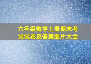 六年级数学上册期末考试试卷及答案图片大全