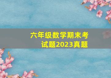 六年级数学期末考试题2023真题