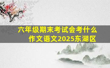 六年级期末考试会考什么作文语文2025东湖区