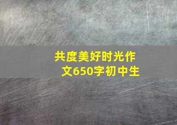 共度美好时光作文650字初中生