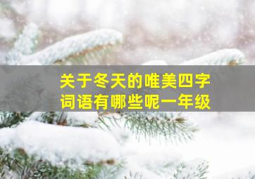 关于冬天的唯美四字词语有哪些呢一年级