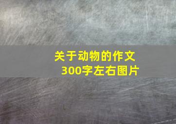 关于动物的作文300字左右图片