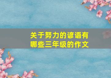 关于努力的谚语有哪些三年级的作文