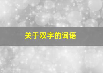 关于双字的词语