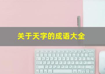 关于天字的成语大全